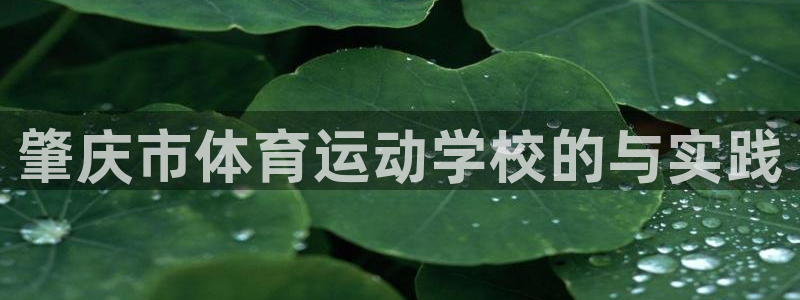 关键词：肇庆市体育运动学校的与实践